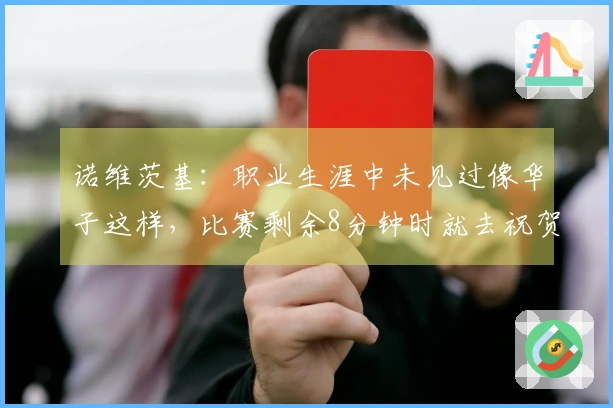 诺维茨基:职业生涯中未见过像华子这样,比赛剩余8分钟时就去祝贺对手